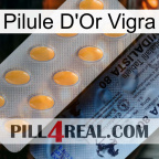 Vigra Gold Pill 44